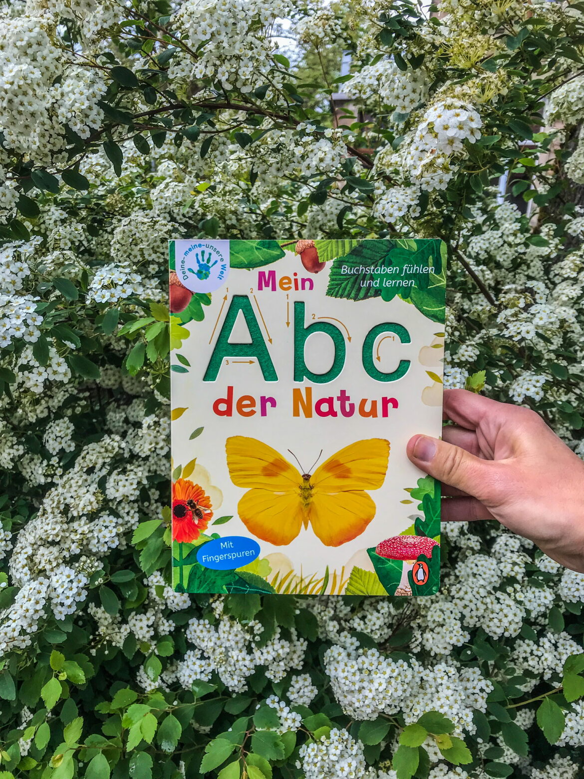 Mein Abc der Natur