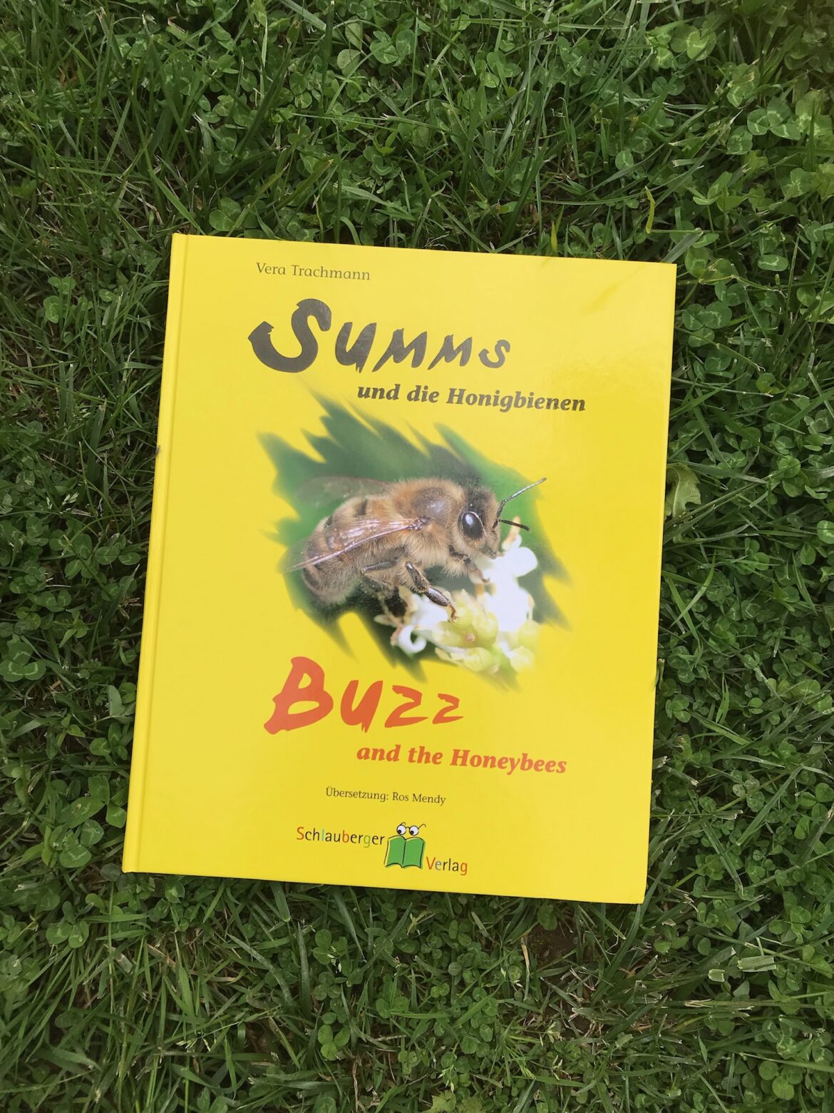 Summs und die Honigbienen