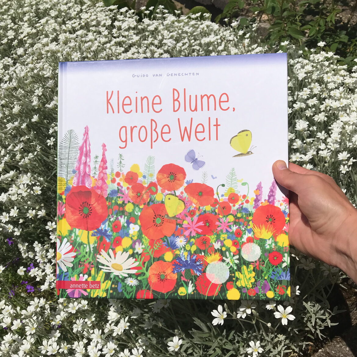 Kleine Blume, große Welt