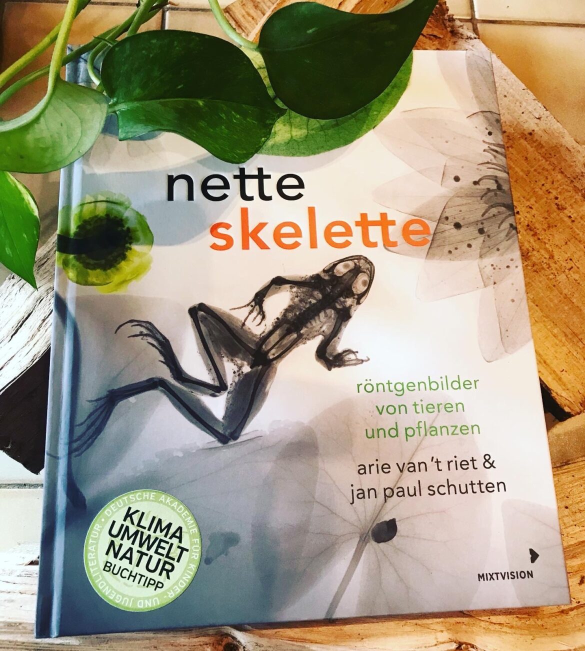 Nette Skelette