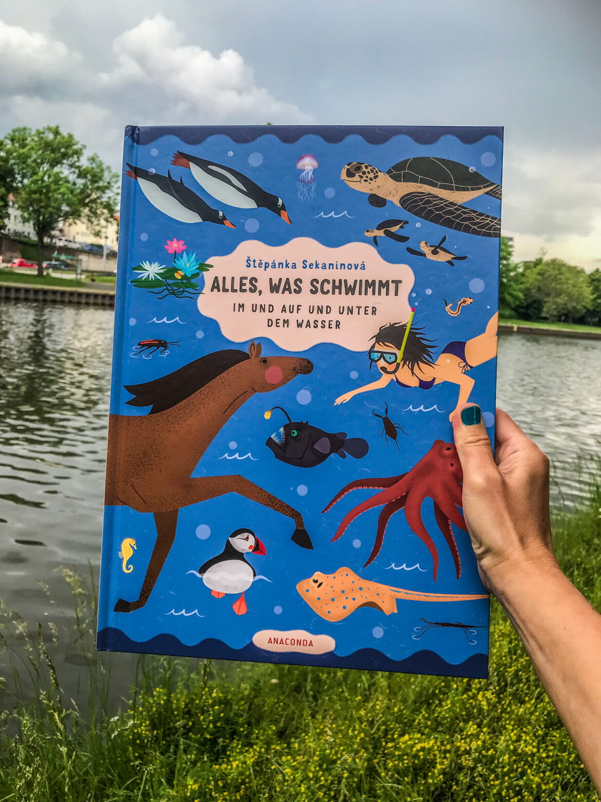 Alles, was schwimmt