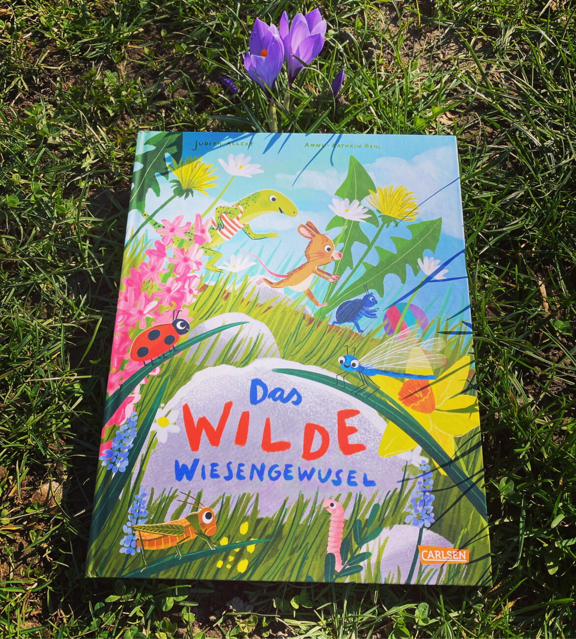 Das wilde Wiesengewusel