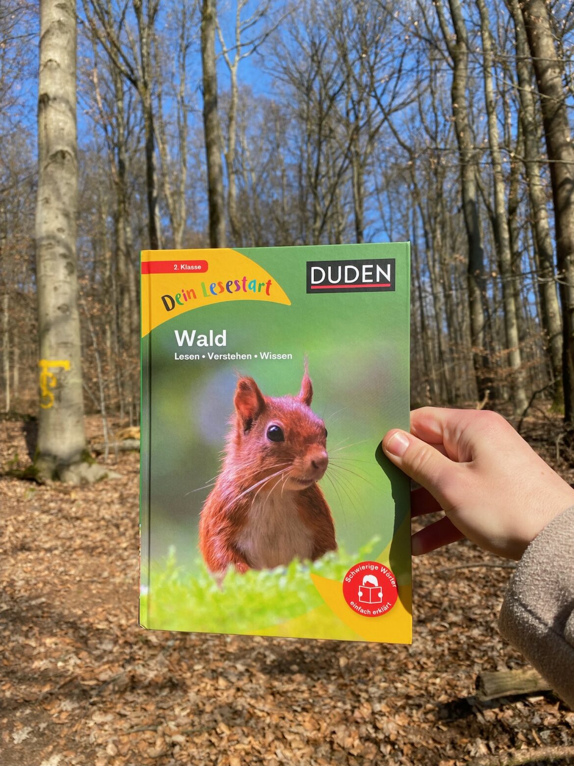 Dein Lesestart Wald