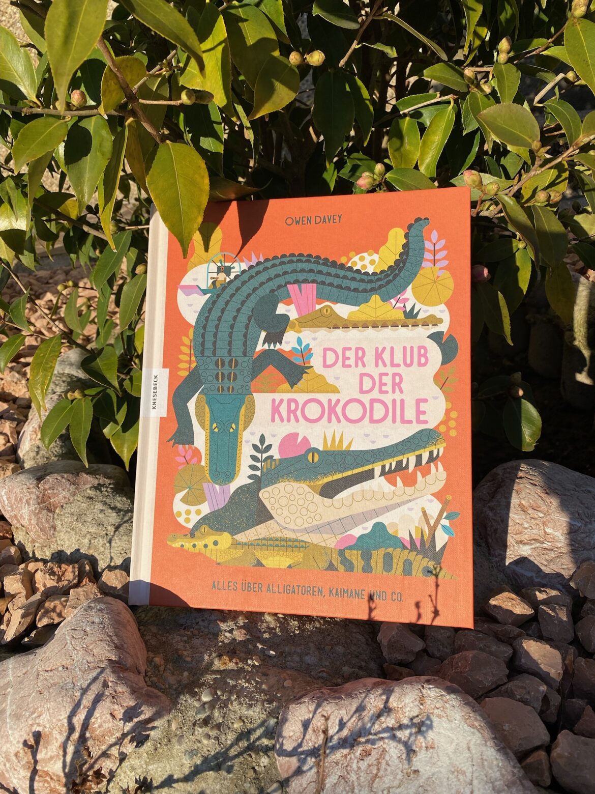 Der Klub der Krokodile