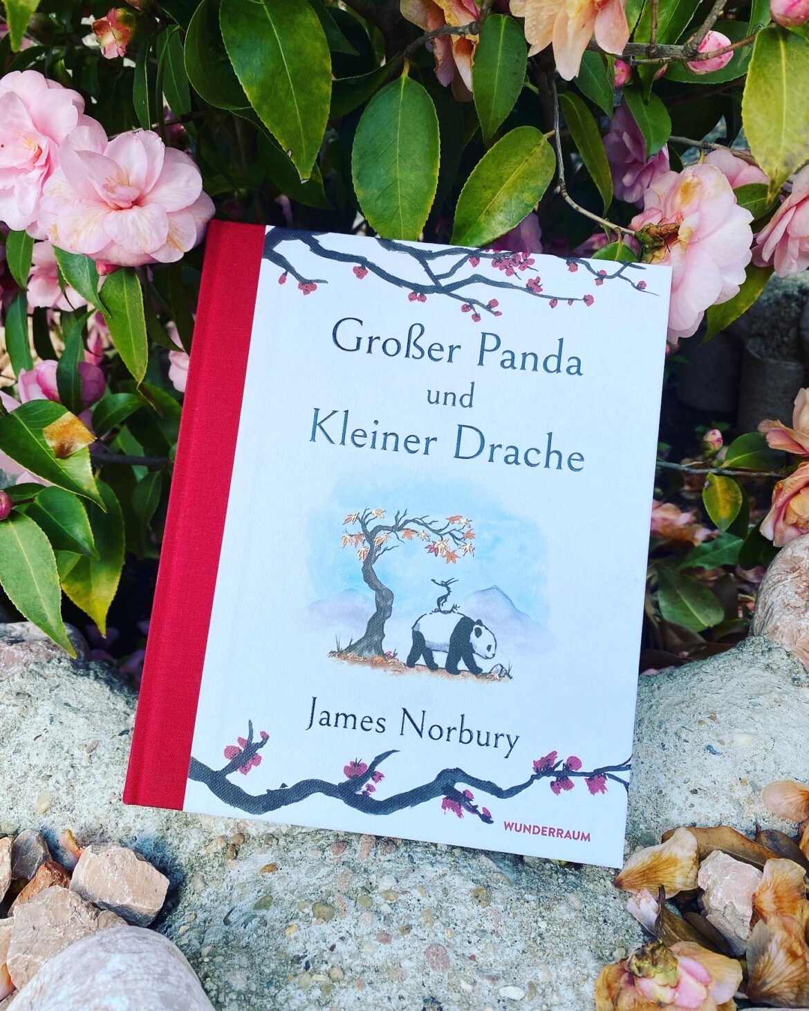 Großer Panda und Kleiner Drache