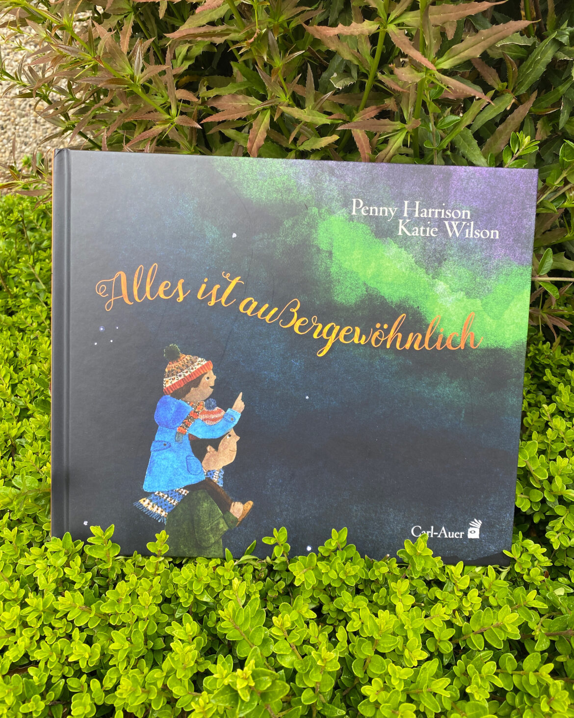 Alles ist außergewöhnlich