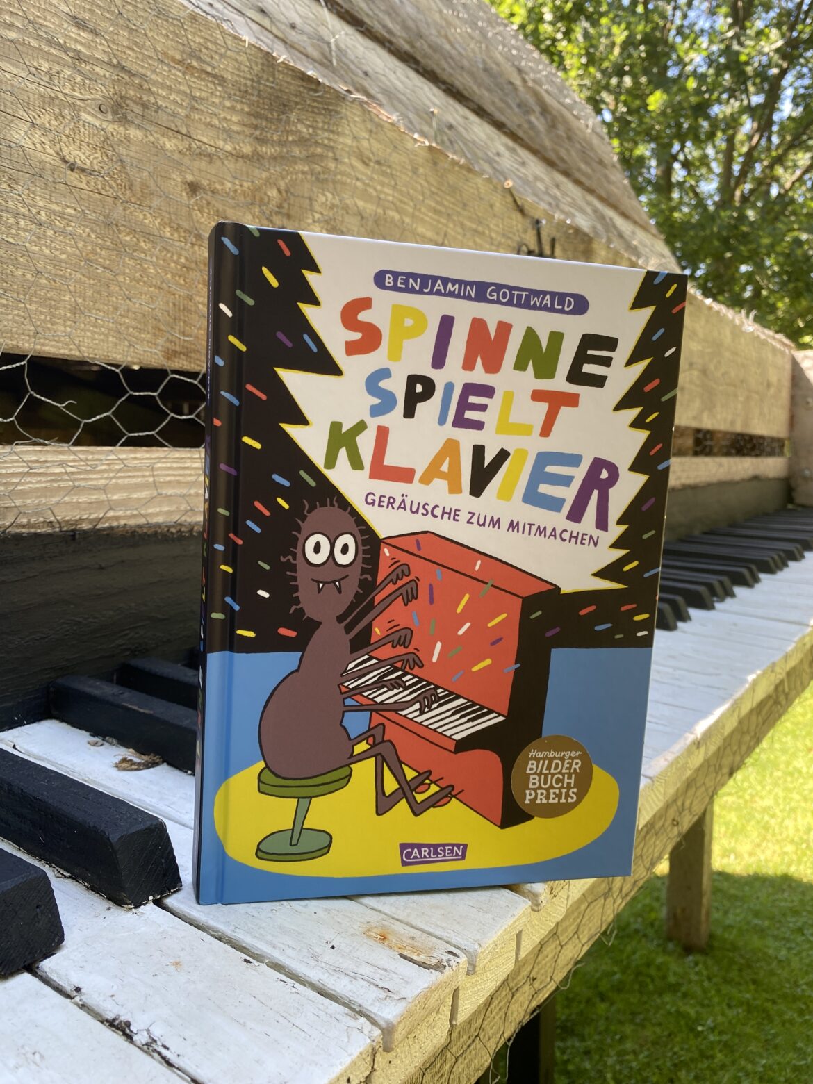 Spinne spielt Klavier