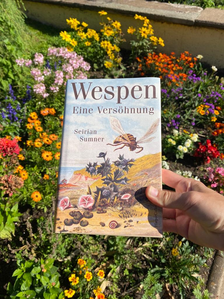 Wespen Eine Versöhnung