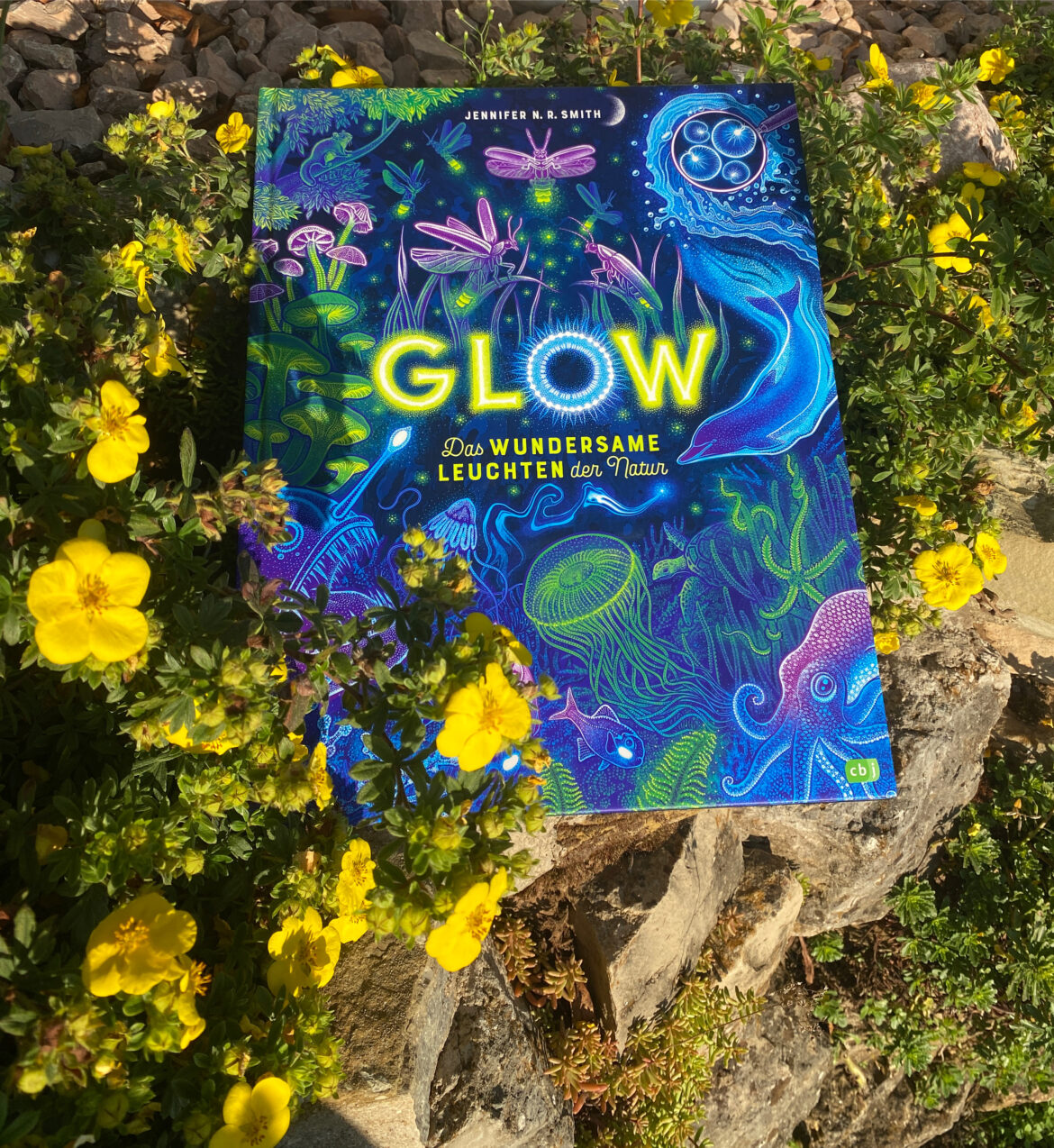 GLOW Das wundersame Leuchten der Natur