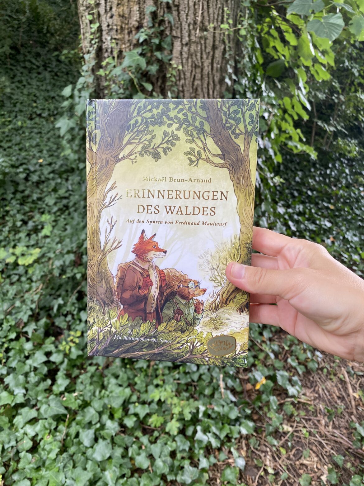 Erinnerungen des Waldes