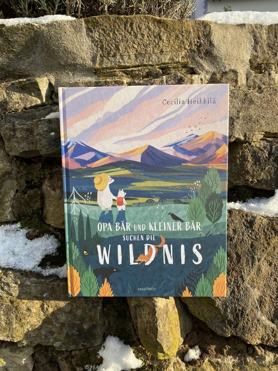 Opa Bär und kleiner Bär suchen die Wildnis