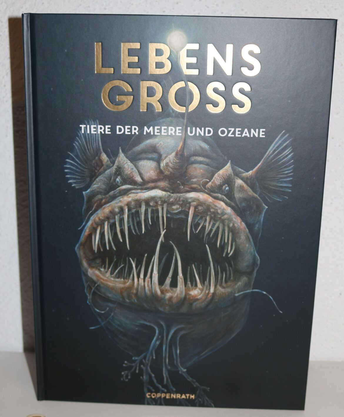 LEBENSGROSS Tiere der Meere und Ozeane