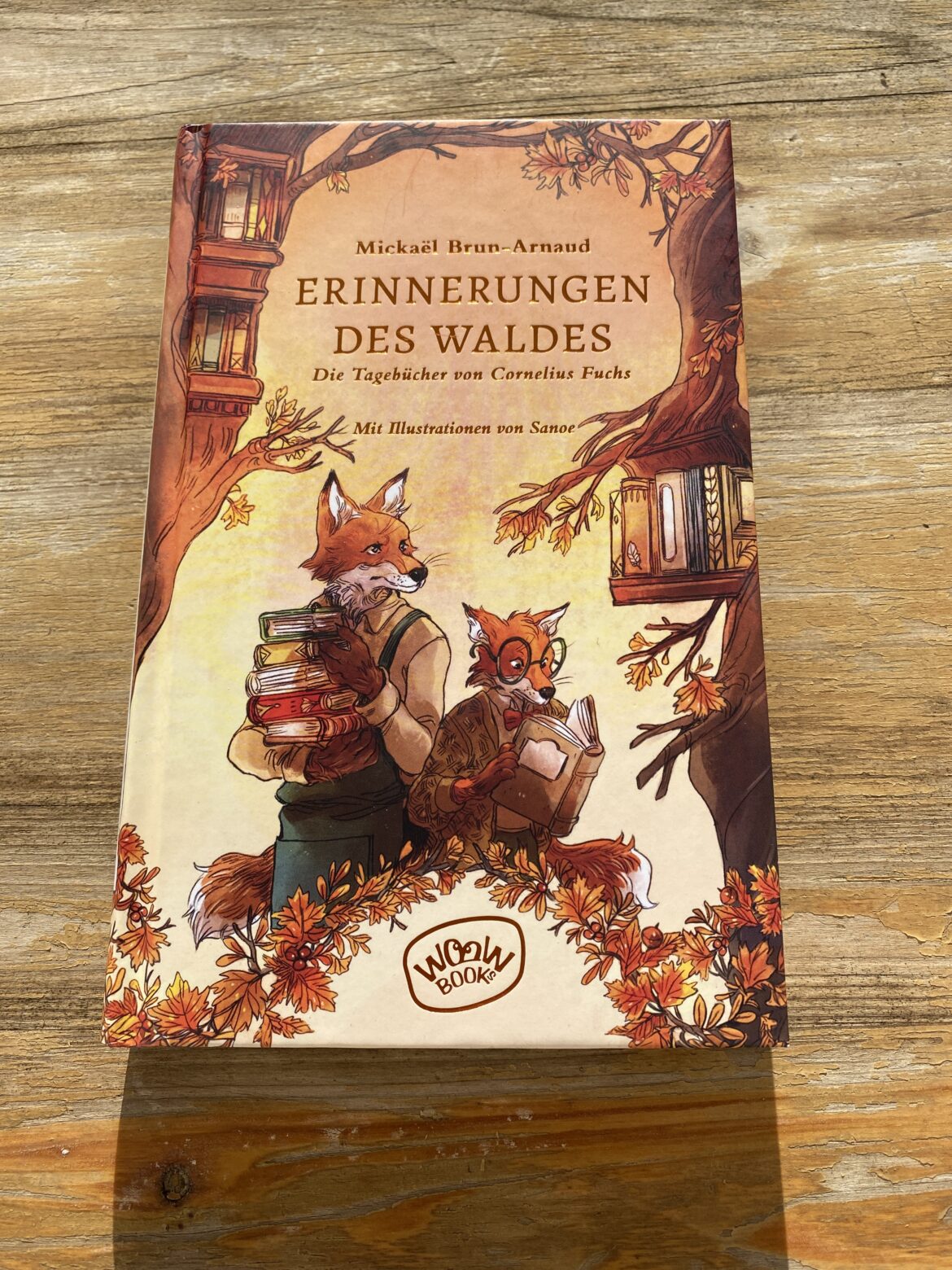 Erinnerungen des Waldes