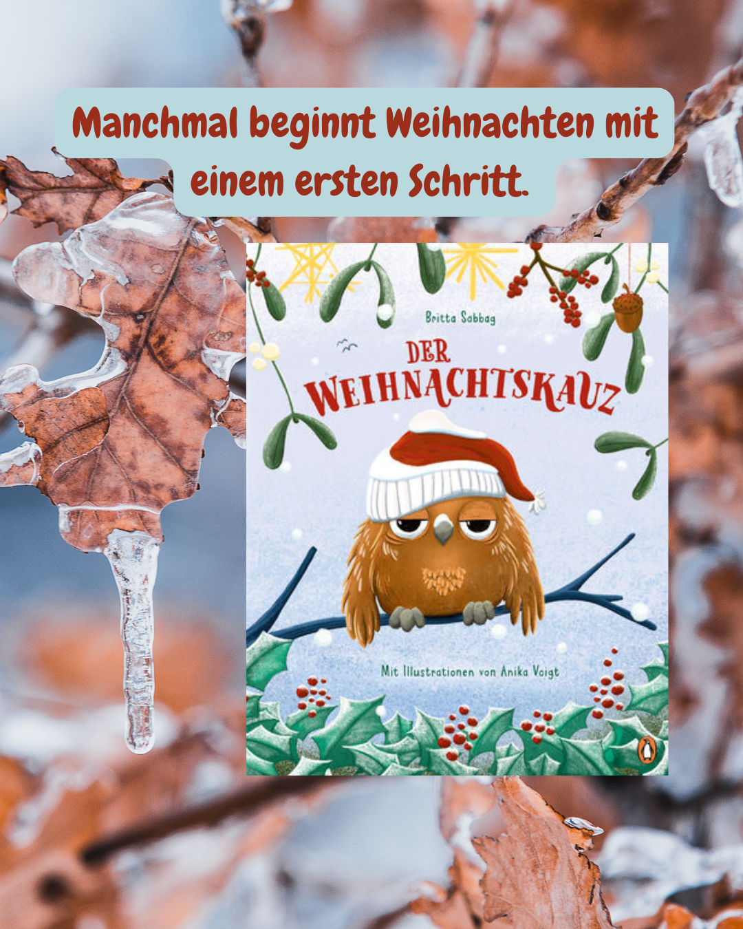 Der Weihnachtskauz