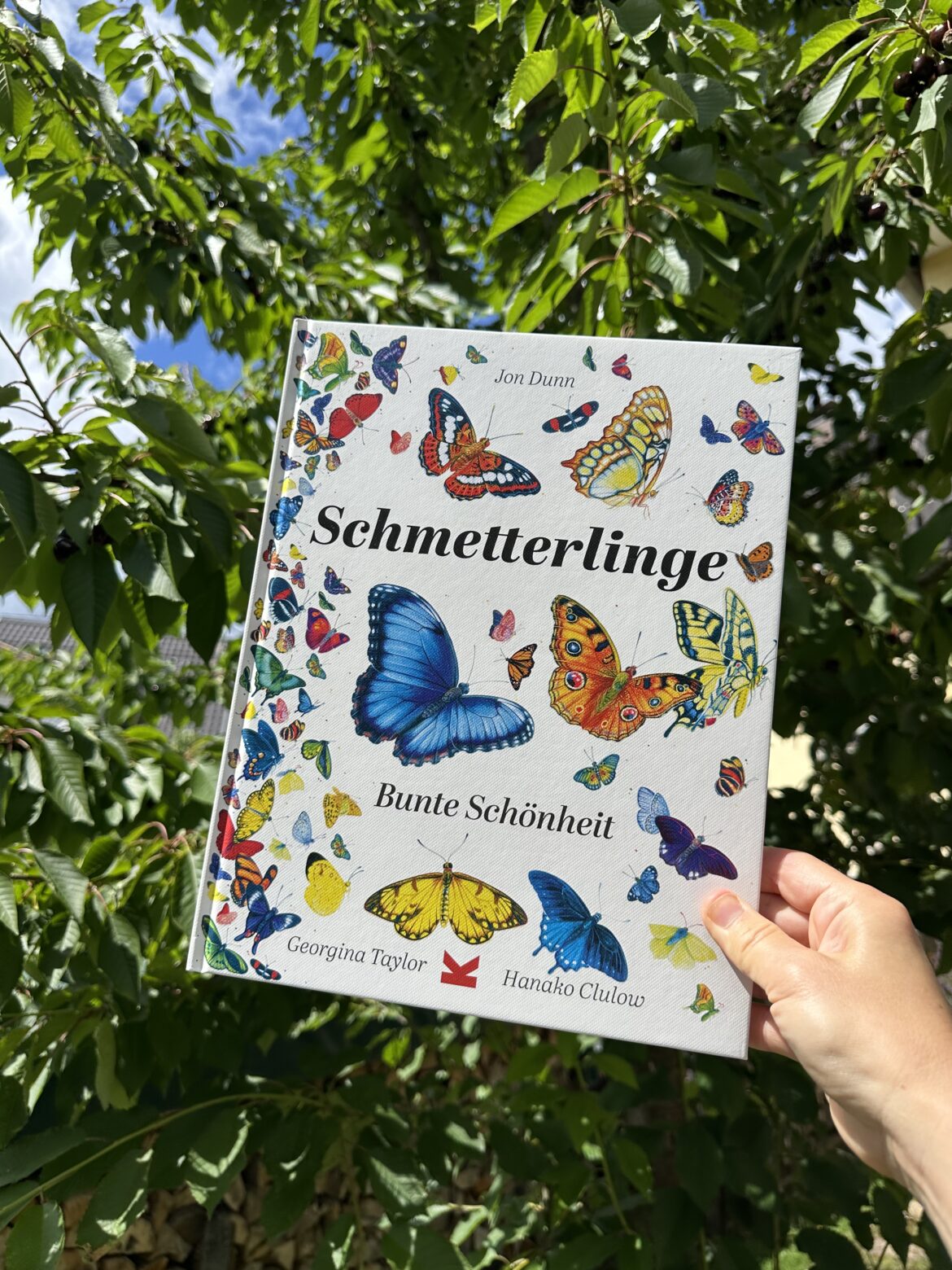 Schmetterlinge